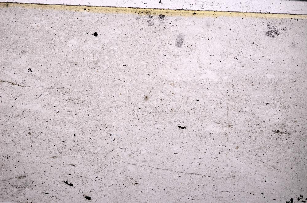 Plane Polarized, E50580