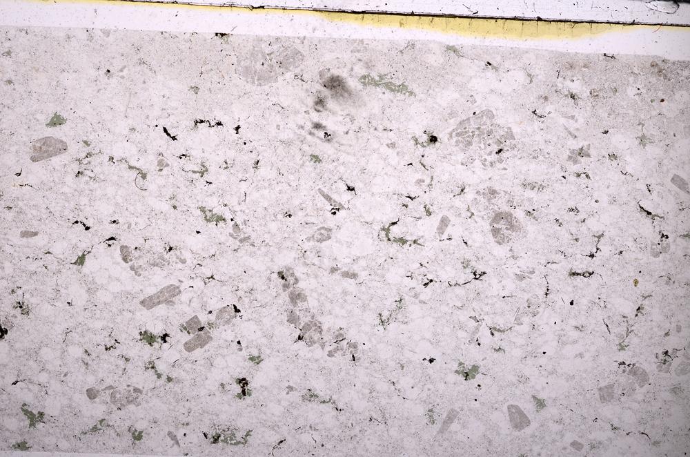 Plane Polarized, E50593