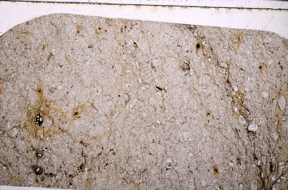 Plane Polarized, E50630