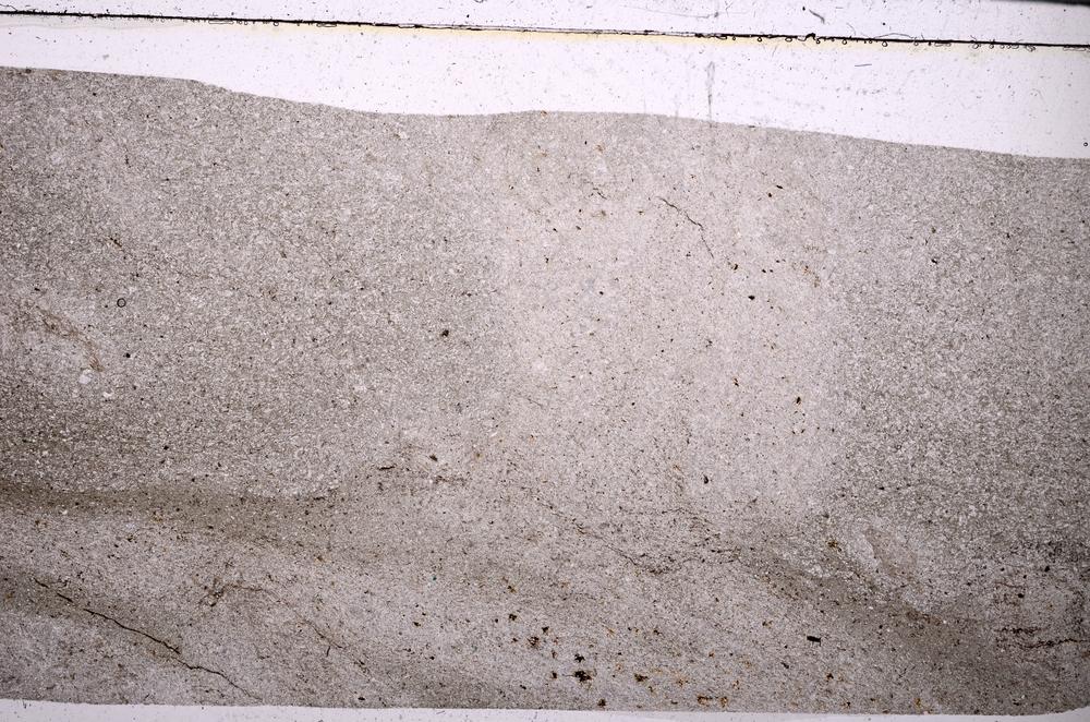 Plane Polarized, E50633