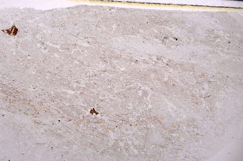 Plane Polarized, E50672