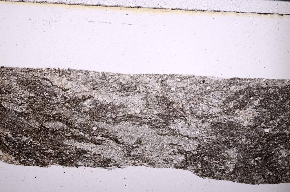 Plane Polarized, E50706