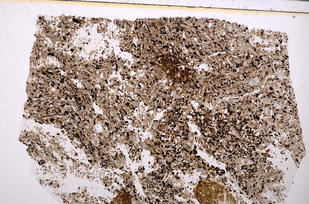 Plane Polarized, E50864/A