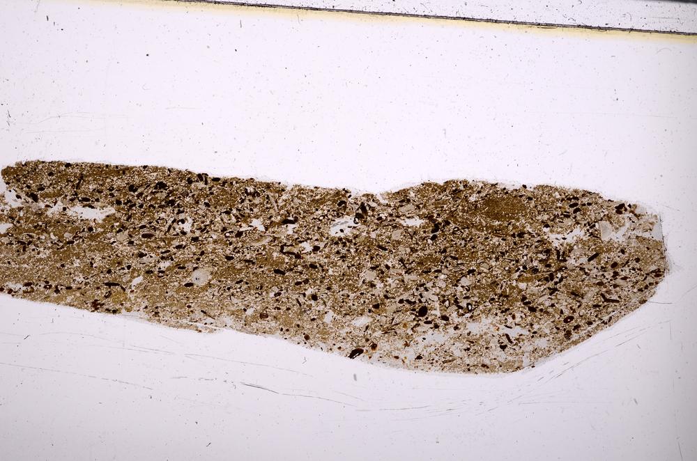 Plane Polarized, E50865/B