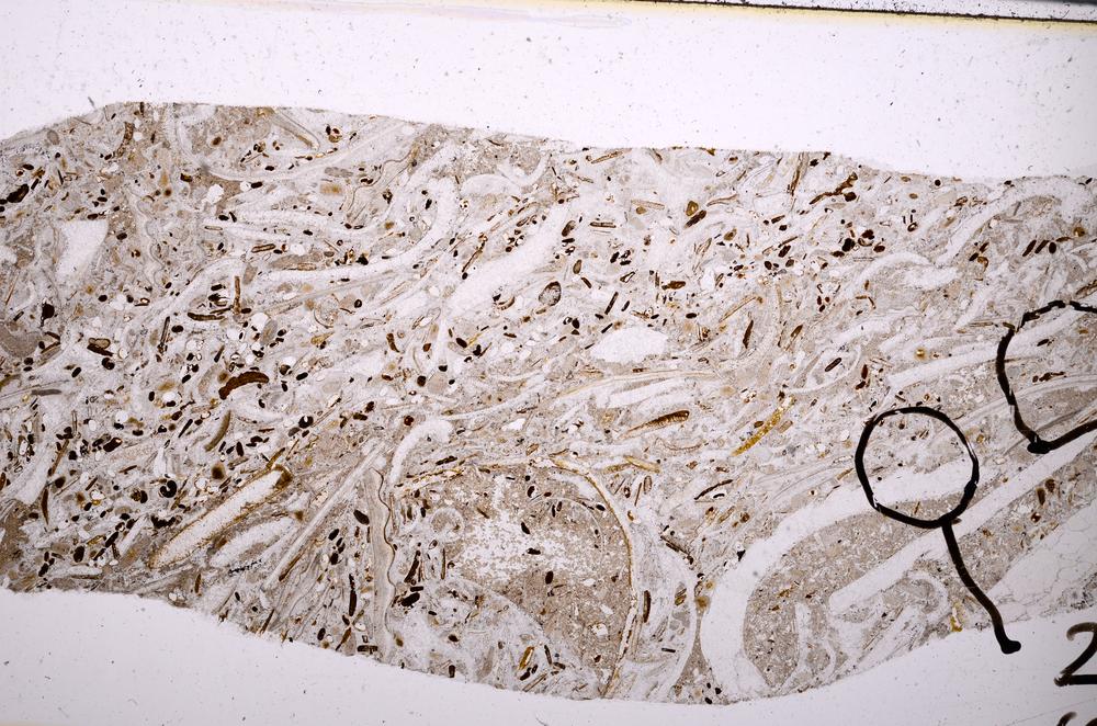 Plane Polarized, E50867/C