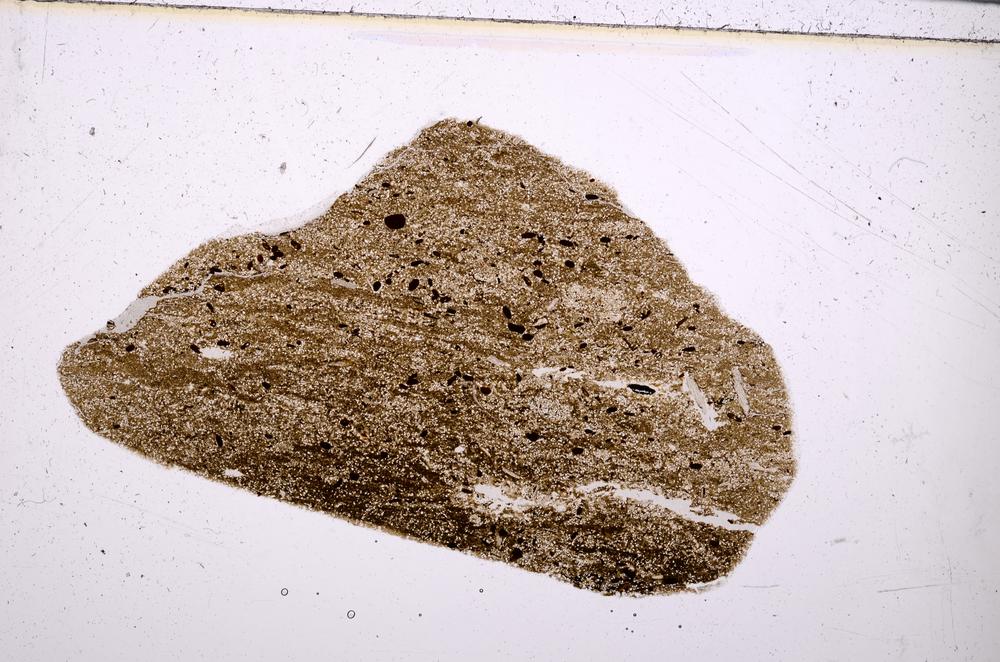 Plane Polarized, E50872/B