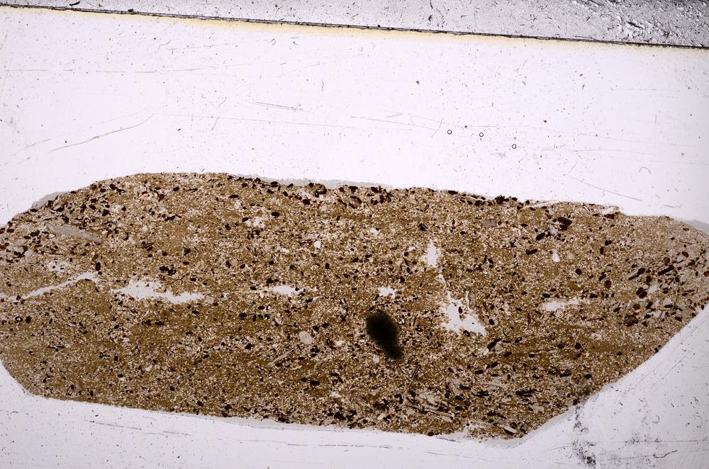 Plane Polarized, E50873/B