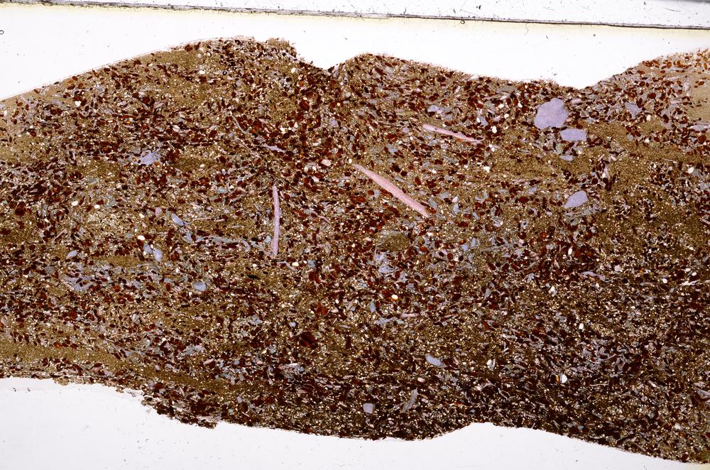 Plane Polarized, E50874/A