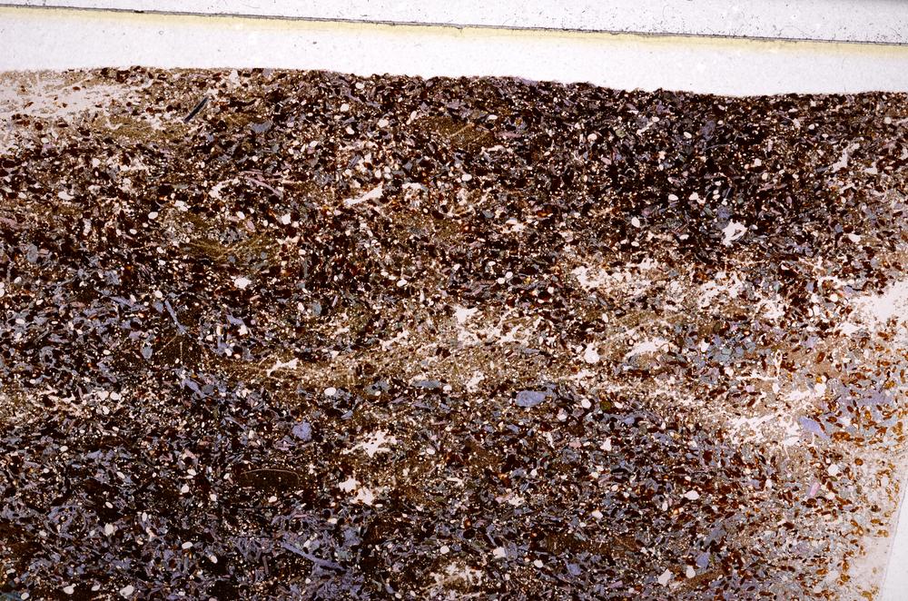 Plane Polarized, E50874/B