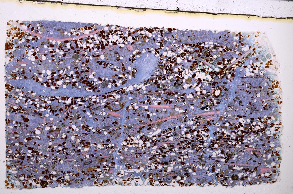 Plane Polarized, E50875/A