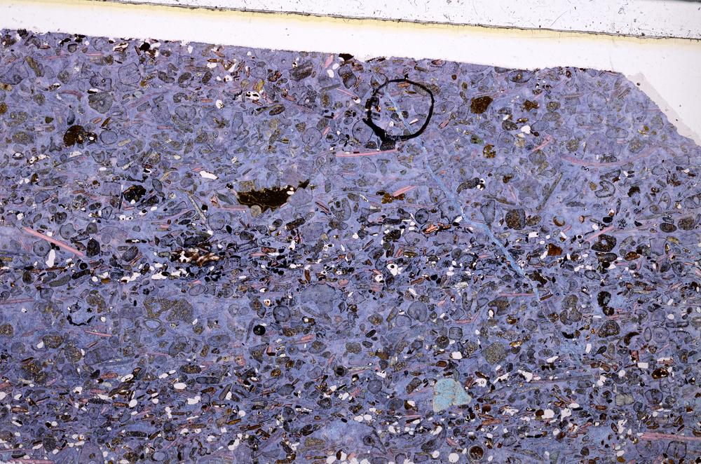 Plane Polarized, E50876/A