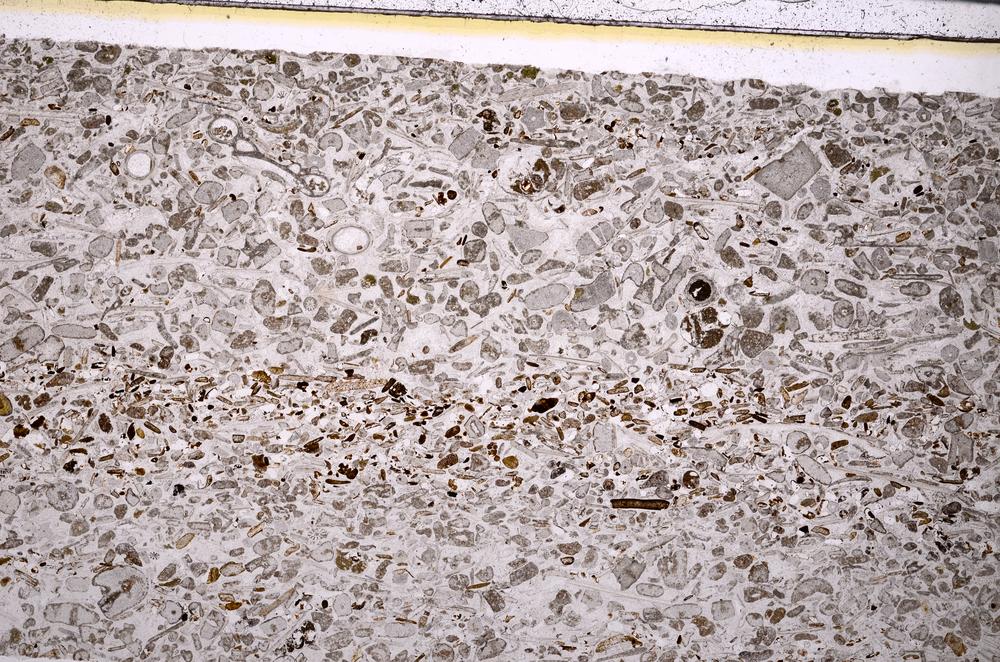 Plane Polarized, E50876/B