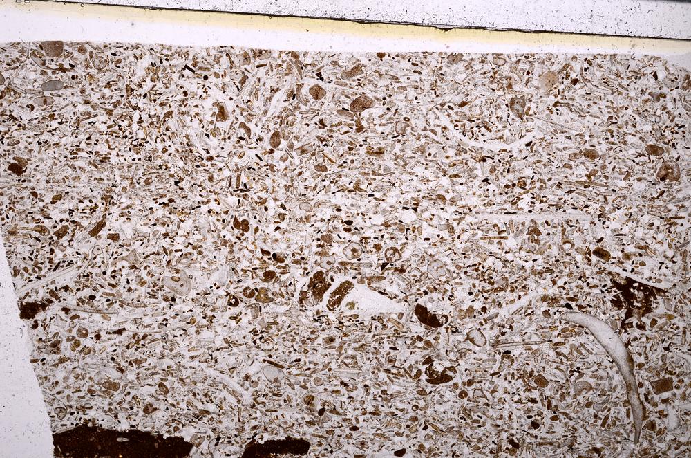 Plane Polarized, E50879/B