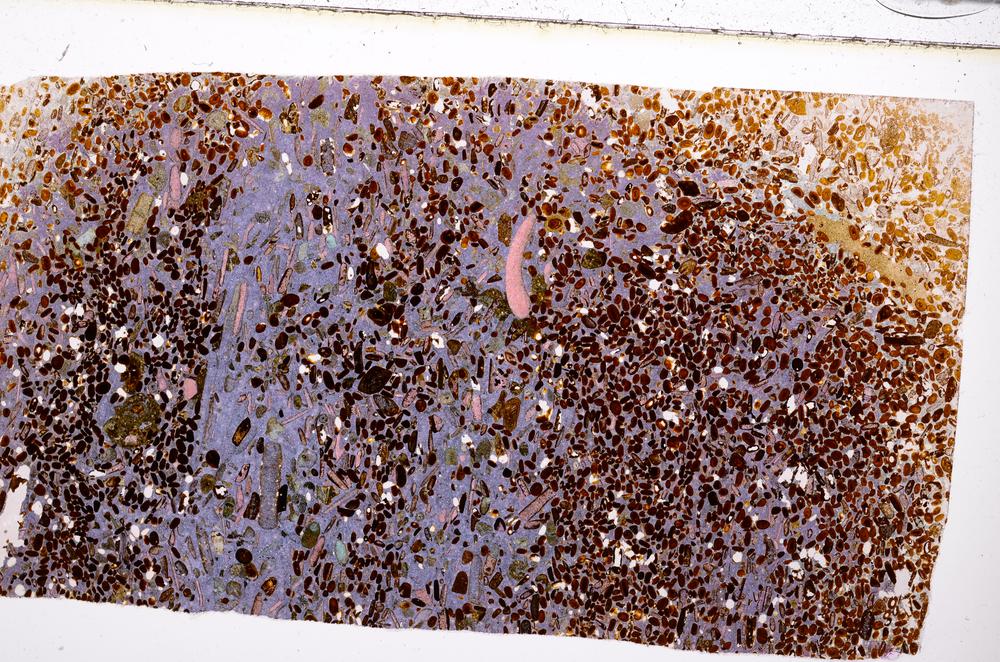 Plane Polarized, E50884/A