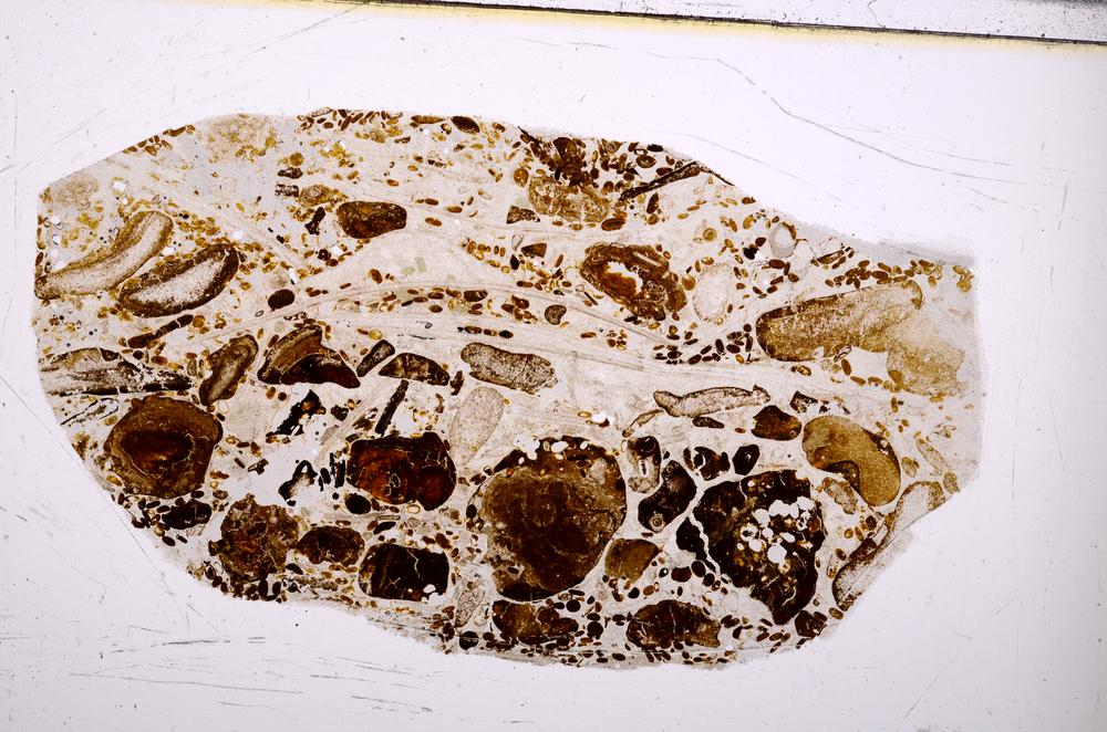 Plane Polarized, E50893/B