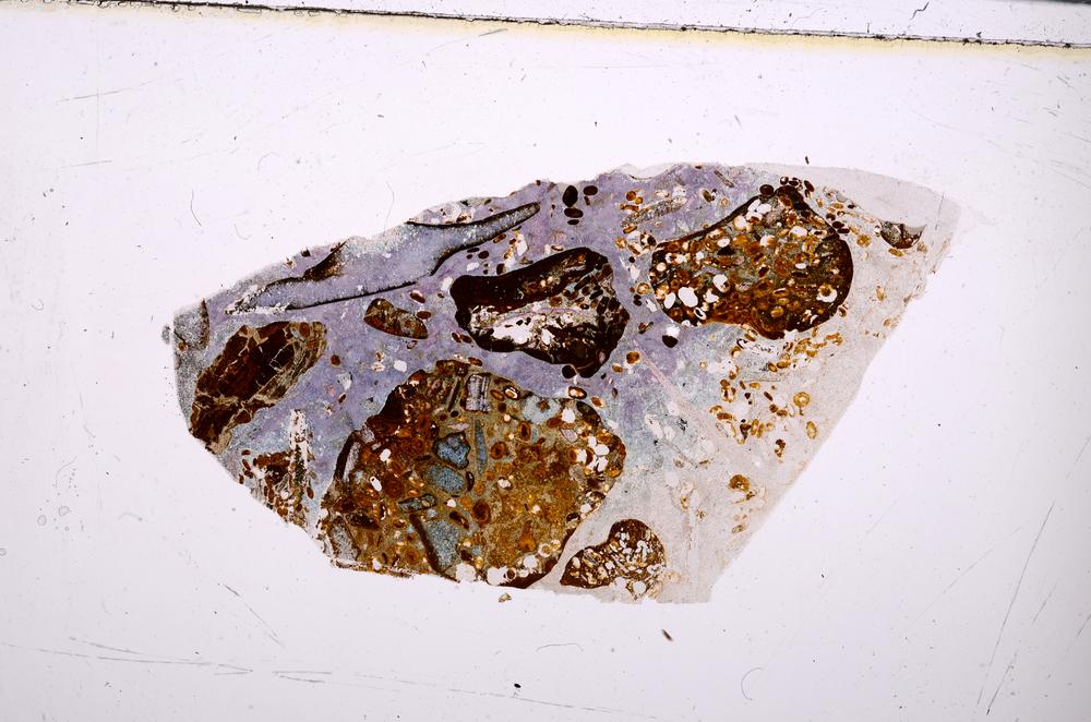 Plane Polarized, E50894/B
