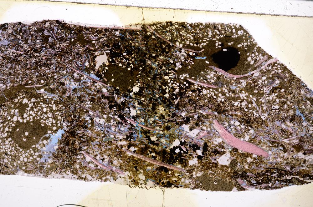 Plane Polarized, E50896/A