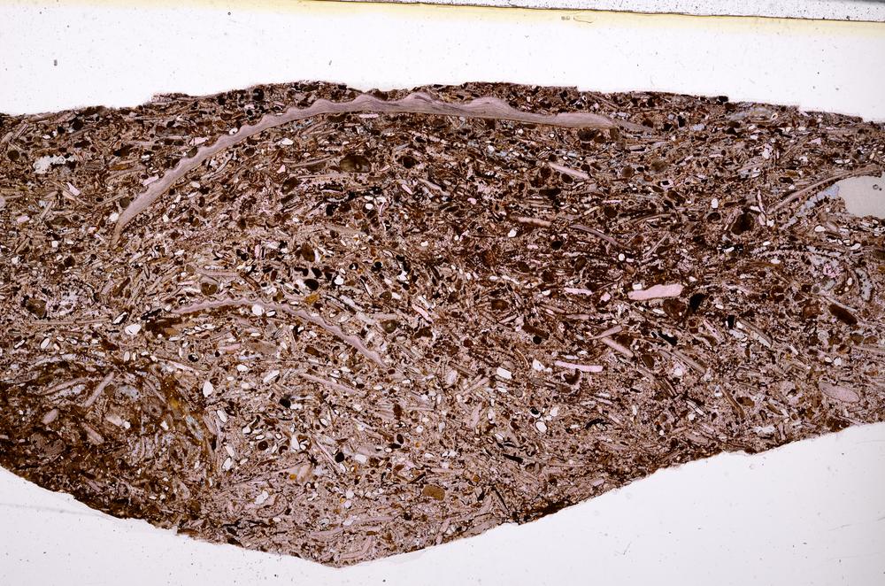 Plane Polarized, E50931/B