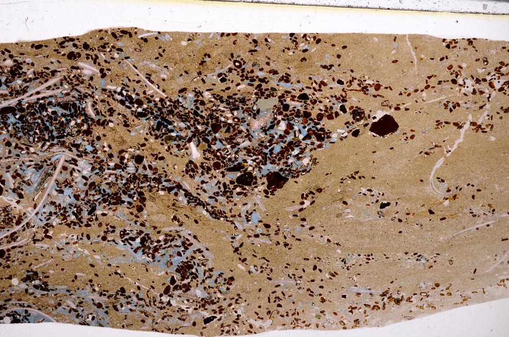 Plane Polarized, E50949/A