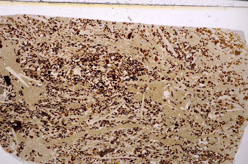 Plane Polarized, E50949/B