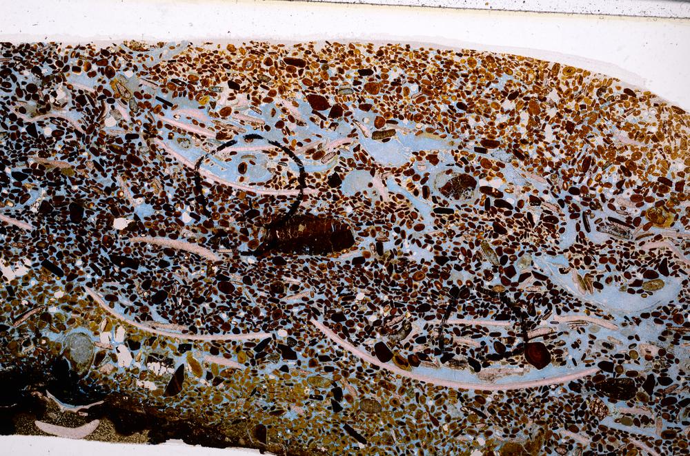 Plane Polarized, E50950