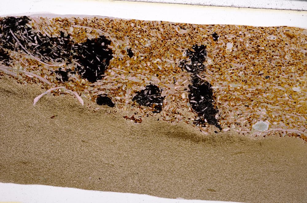 Plane Polarized, E50951/A