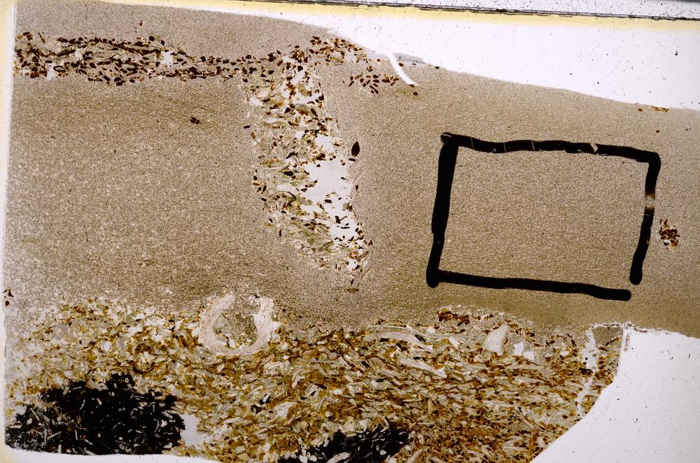 Plane Polarized, E50951/B