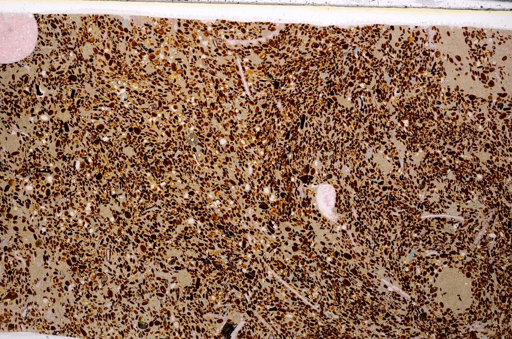 Plane Polarized, E50953/B