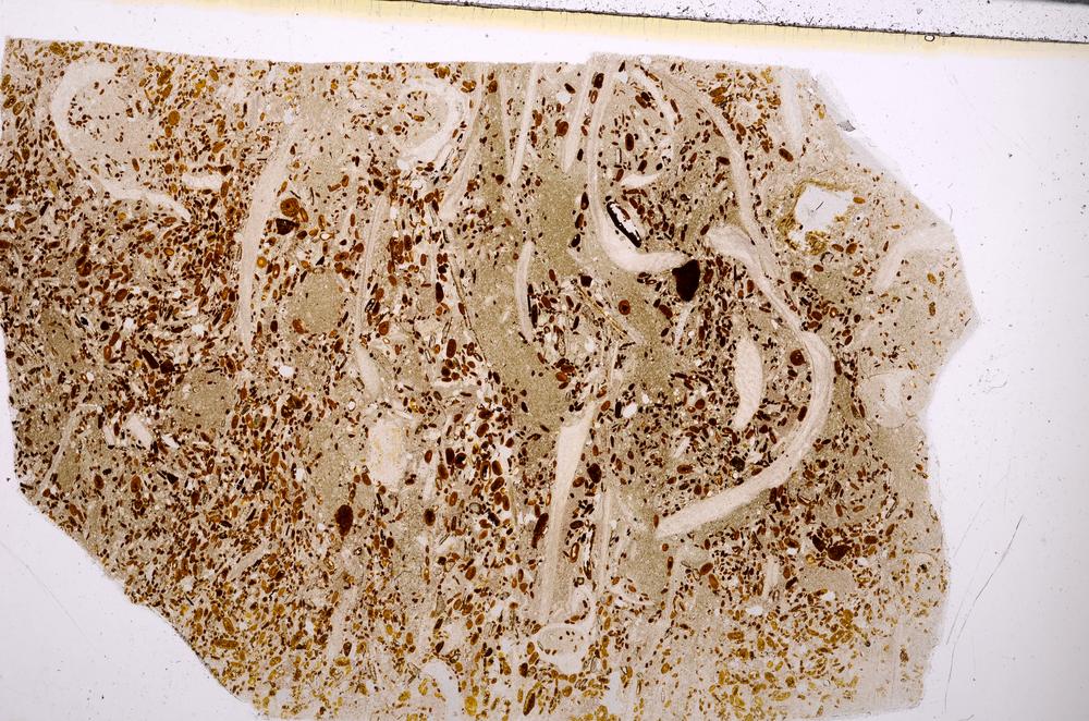 Plane Polarized, E50953/C