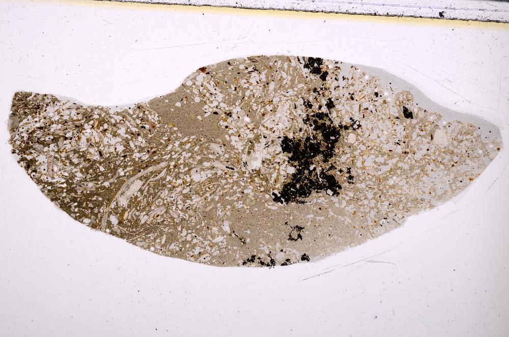 Plane Polarized, E50959/A