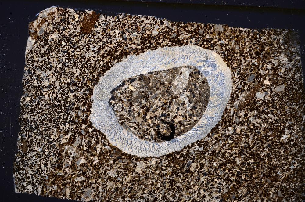 Cross Polarized, E50979/B