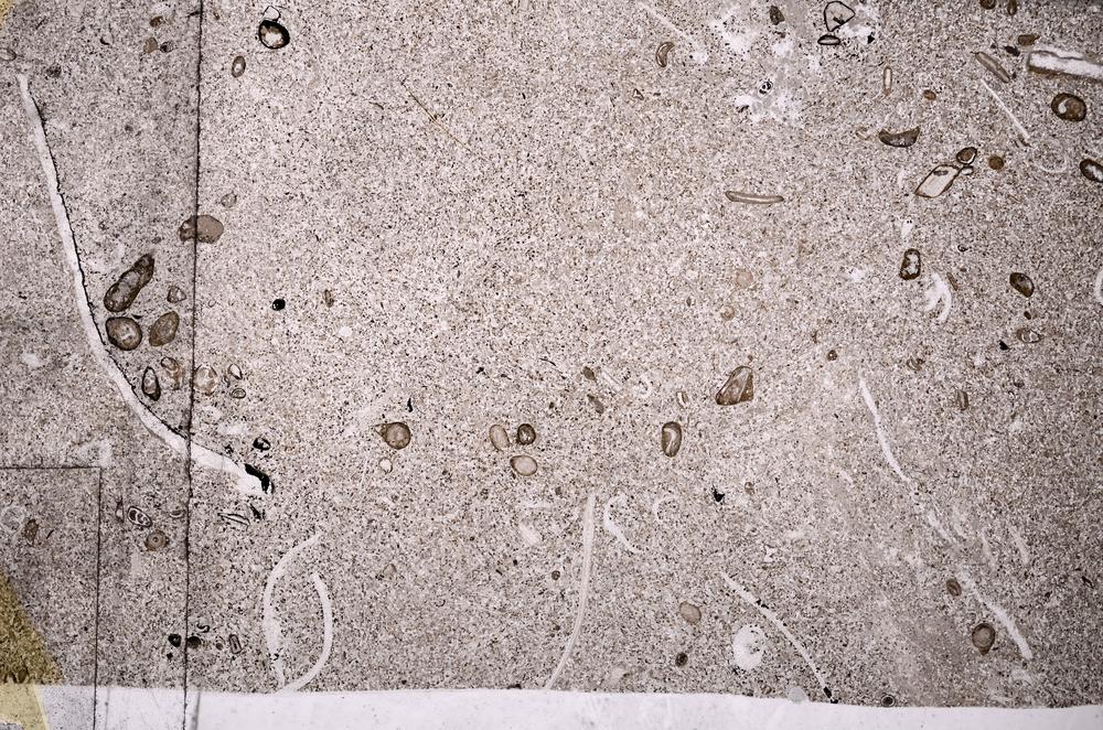 Plane Polarized, E50996