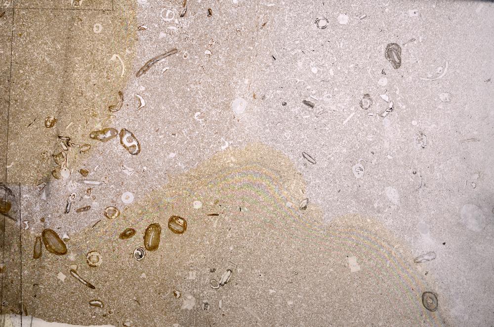 Plane Polarized, E50998