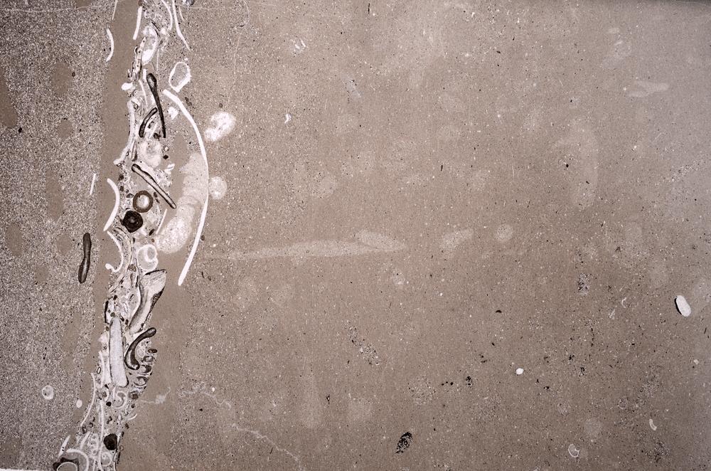 Plane Polarized, E51008/A