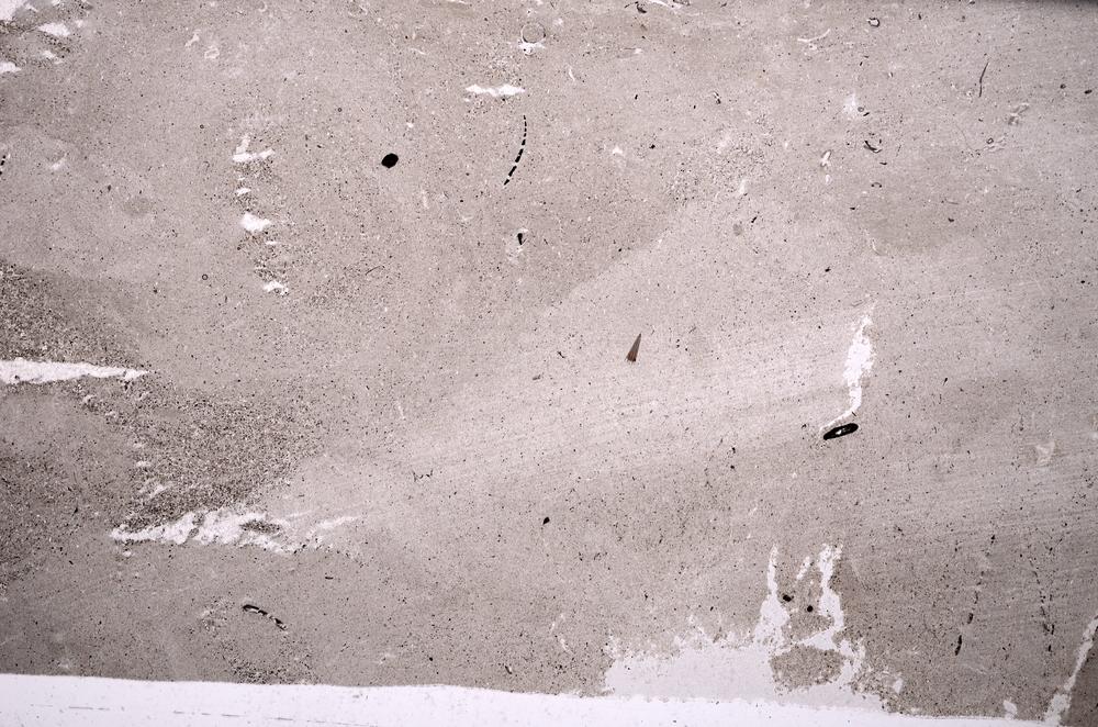 Plane Polarized, E51008/B