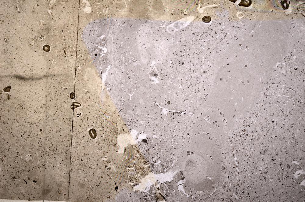 Plane Polarized, E51009