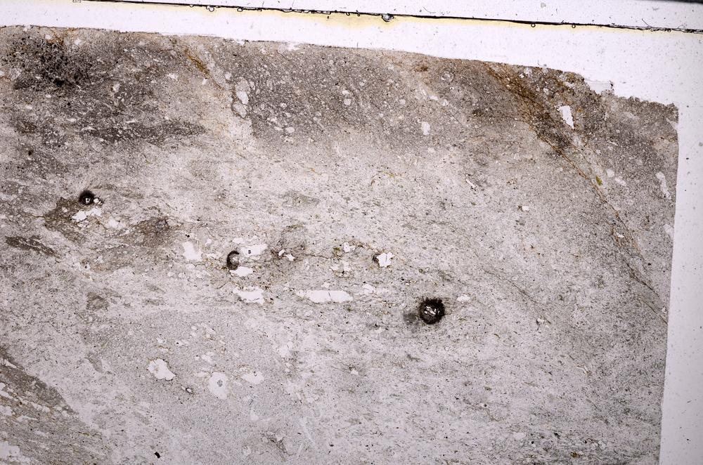 Plane Polarized, E51030