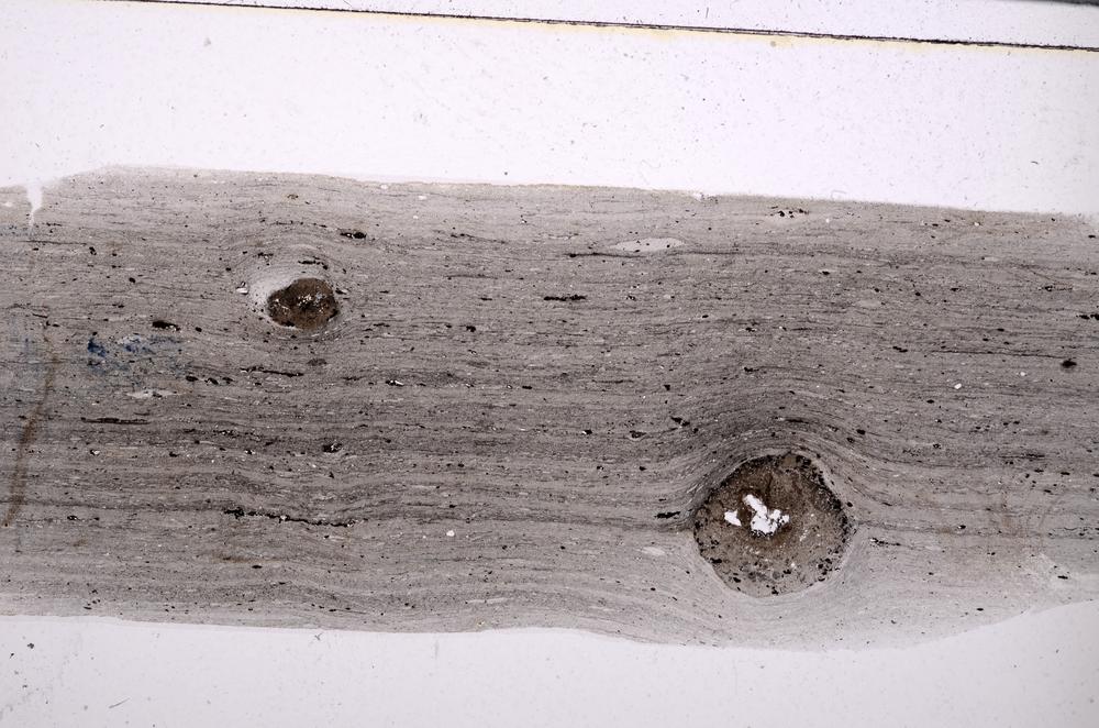 Plane Polarized, E51064