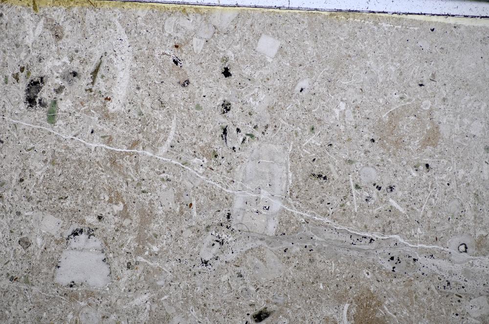 Plane Polarized, E51216