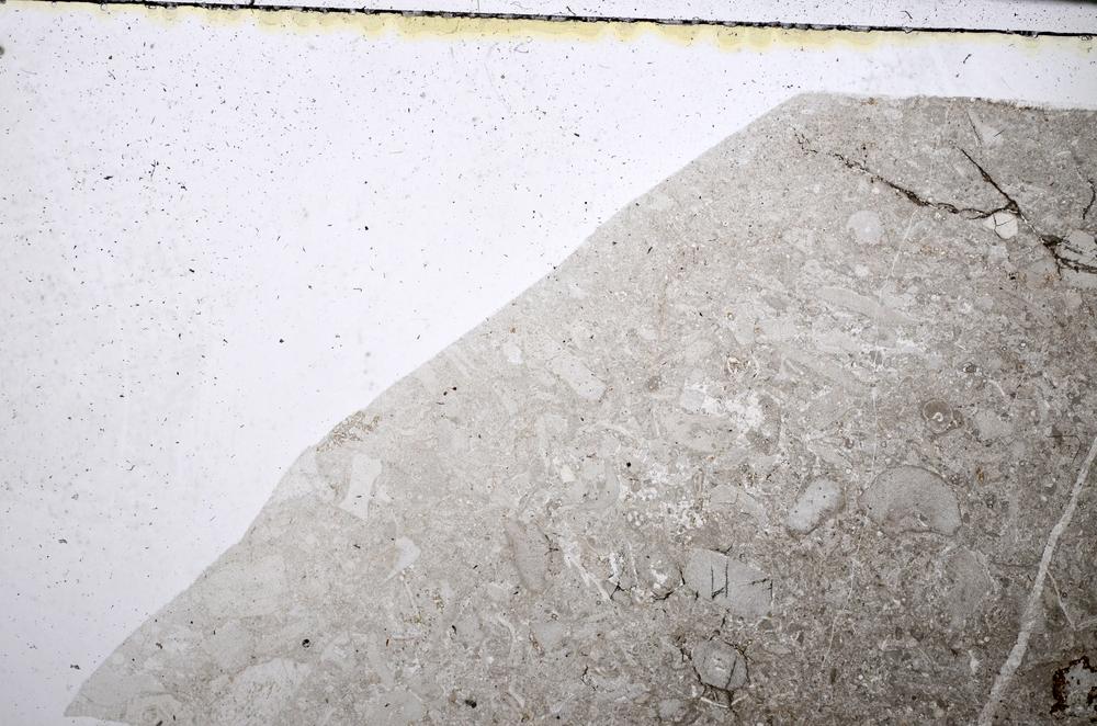 Plane Polarized, E51222