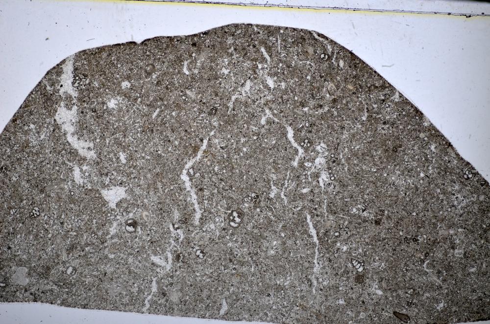 Plane Polarized, E51297