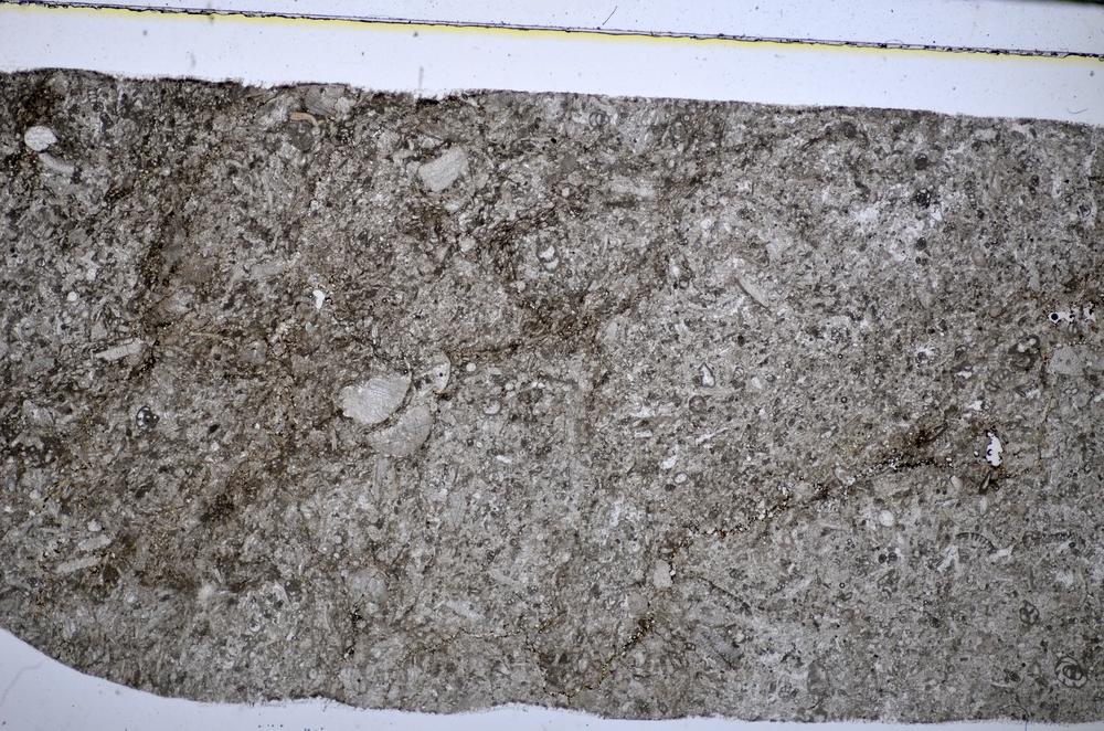 Plane Polarized, E51308