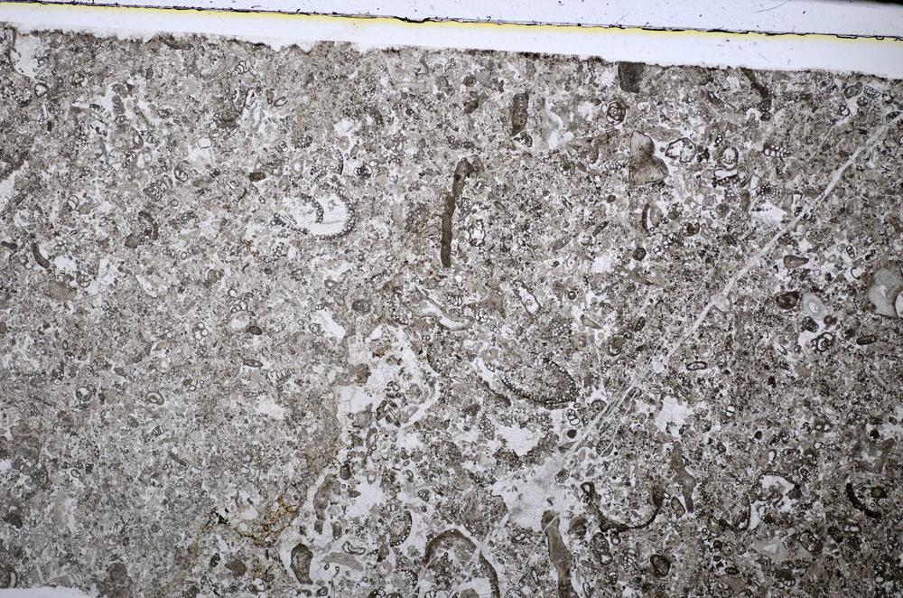 Plane Polarized, E51309