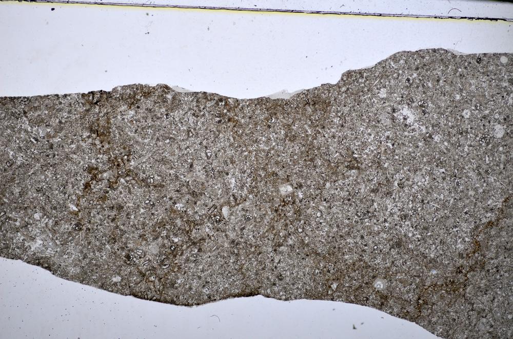 Plane Polarized, E51315