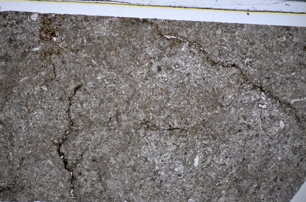 Plane Polarized, E51316