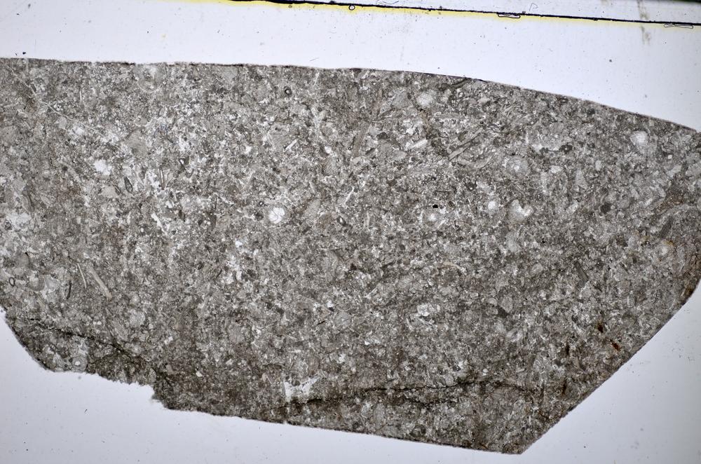 Plane Polarized, E51320