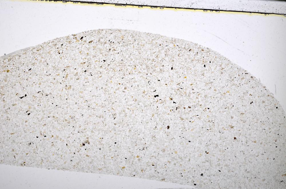 Plane Polarized, E51333/A