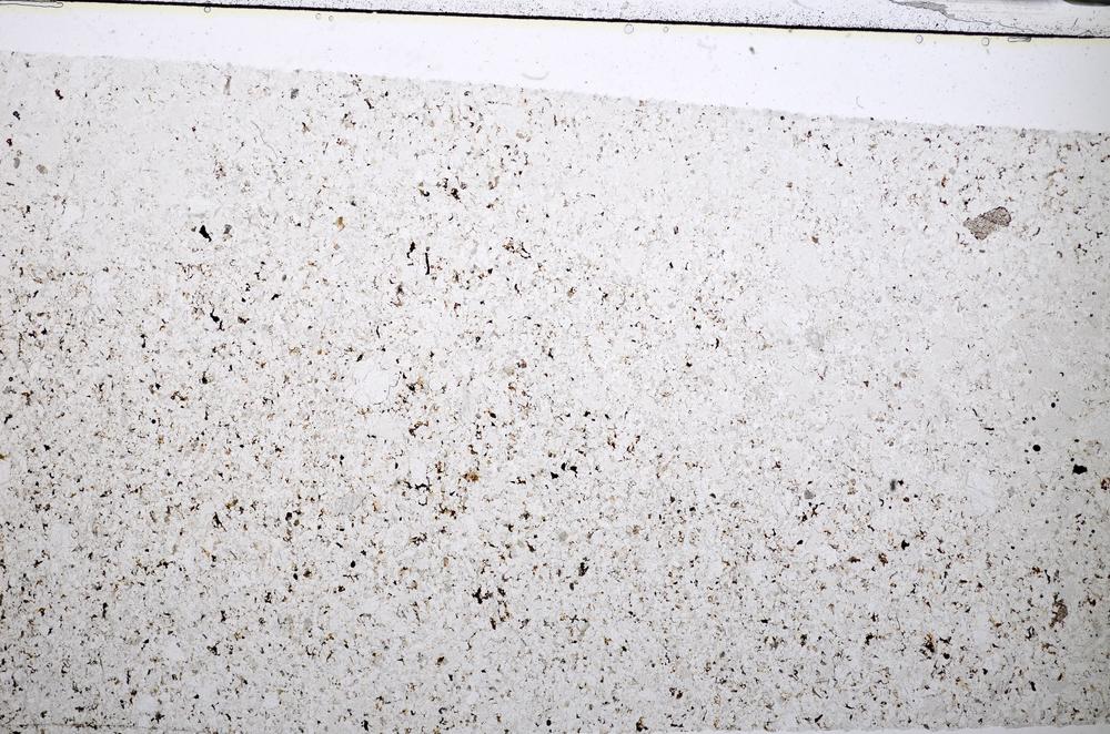 Plane Polarized, E51336/B