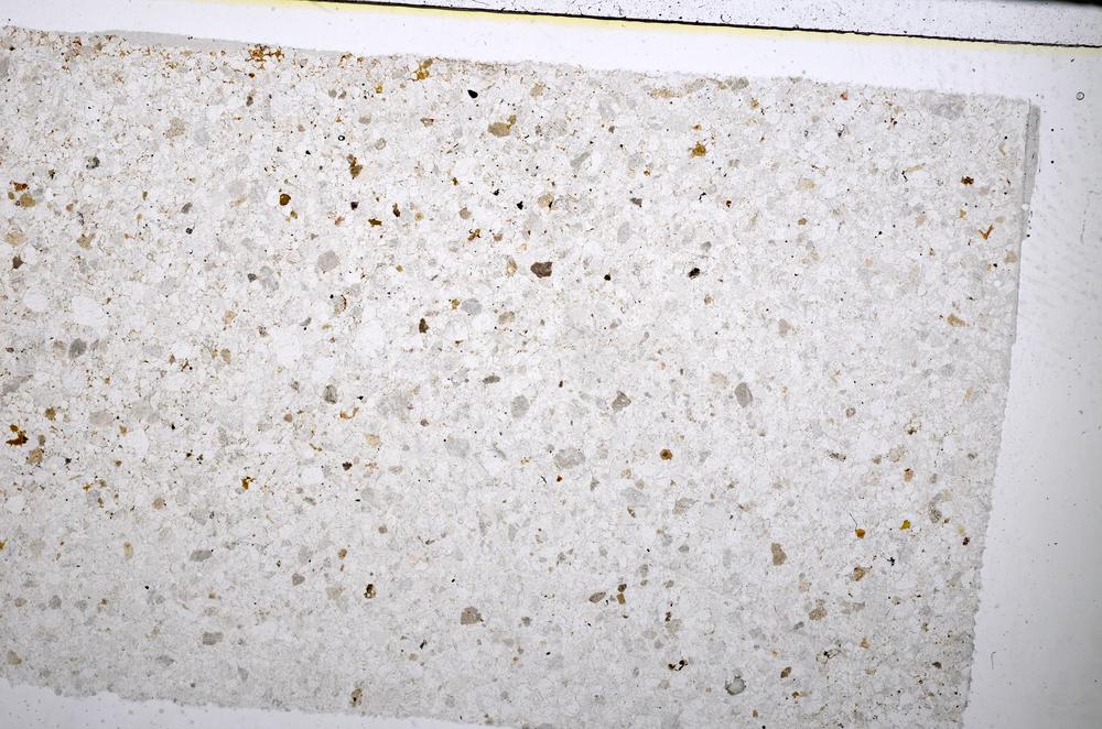 Plane Polarized, E51361/A