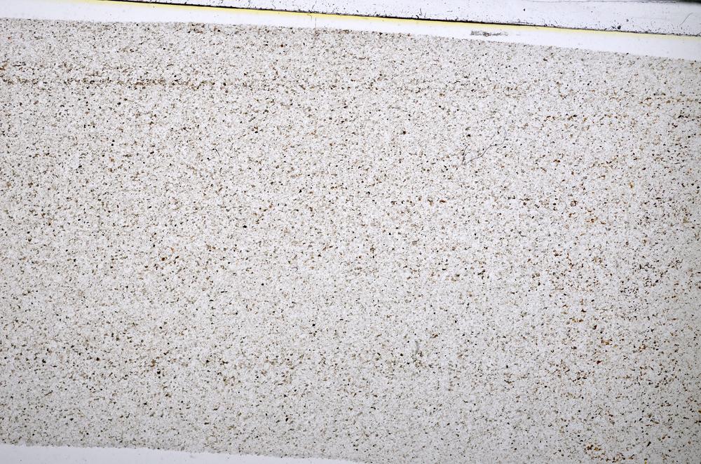 Plane Polarized, E51364/B